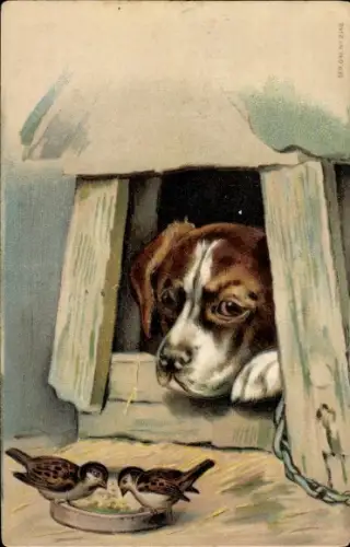 Präge Ak Hund in einer Hundehütte, Spatzen fressen aus dem Napf