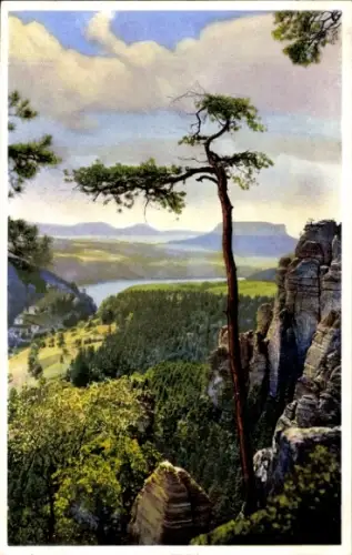 Ak Elbgrund Elbtal Hessen, Gr. Gans, Elbtal; Nenke 405 5365