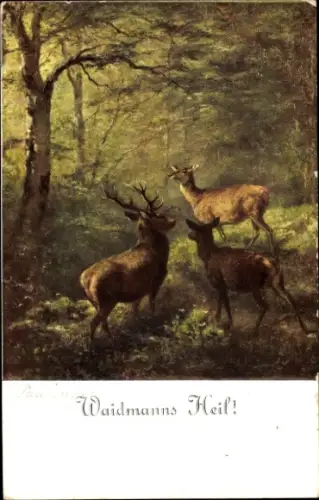 Künstler Ak Waidmanns Heil, Hirsche