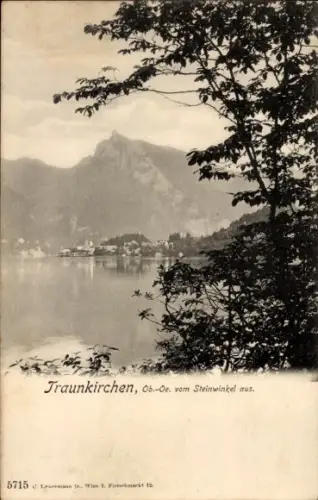 Ak Traunkirchen am Traunsee Oberösterreich, Blick vom Steinwinkel