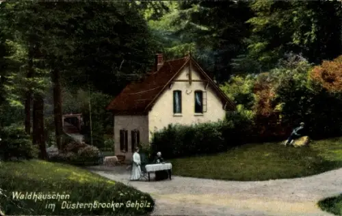 Ak Düsternbrook Kiel in Schleswig Holstein, Waldhäuschen im Düsterbrooker Gehölz