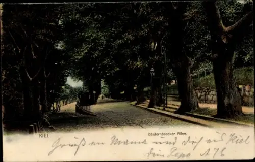 Ak Düsternbrook Kiel, Düsternbrooker Allee