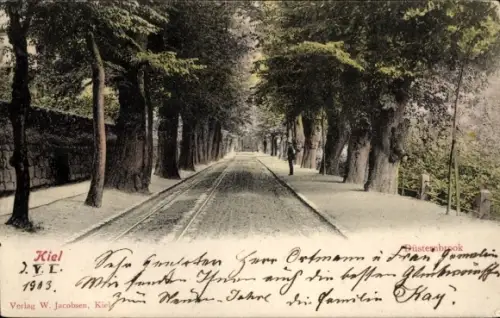 Ak Düsternbrook Kiel, Düsternbrooker Allee