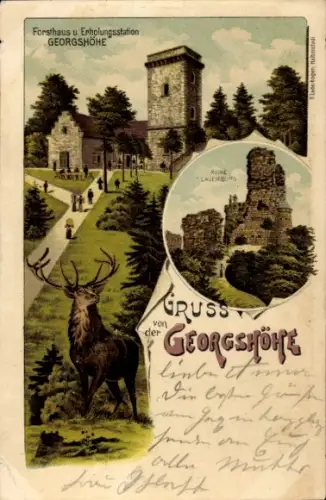 Litho Thale im Harz, Georgshöhe, Forsthaus und Erholungsstation, Hirsch, Ruine Lauenburg