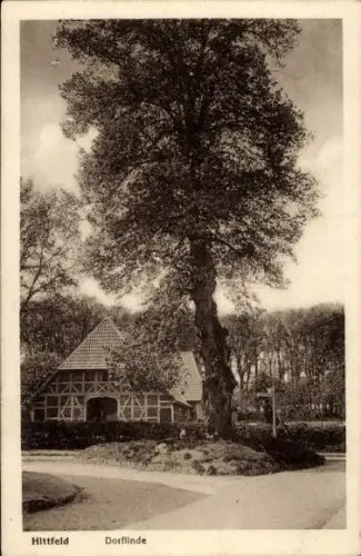 Ak Hittfeld Seevetal in Niedersachsen,  Dorflinde