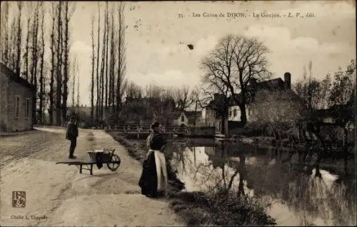 Ak Dijon Côte d'Or, Le Goujon