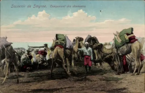 Ak Smyrna Izmir Türkei, Kamellager