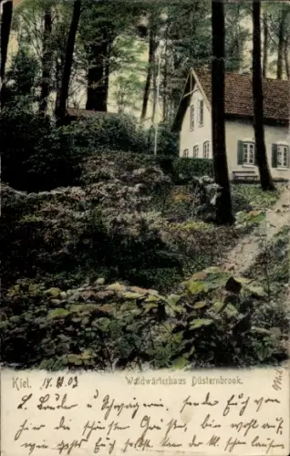 Ak Düsternbrook Kiel, Waldwärterhaus Düsternbrook