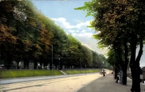 Ak Kiel,  Wasserallee, Baumallee, Straßenbahn-Gleise