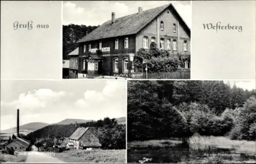 Ak Westerberg Winzenburg Freden an der Leine, Kaufel's Gasthof, Fischteich, Blick a. Westerberg