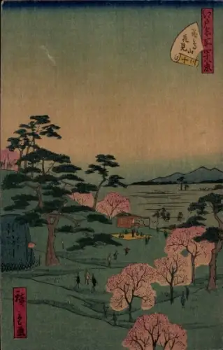 Ak Japan, Wiese, Blühende Bäume