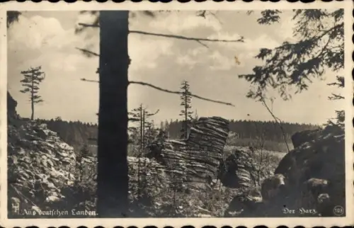 Ak Schierke Wernigerode im Harz, Feuersteinklippen