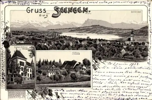 Litho Seengen Kanton Aargau, Gesamtansicht