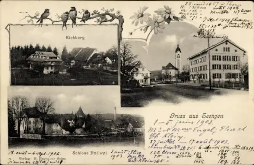 Ak Seengen Kanton Aargau, Straße mit Kirche, Eichberg, Schloss Hallwyl
