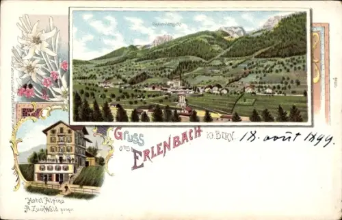 Litho Erlenbach Kanton Bern, Panorama, Hotel Alpina, R. Zum Wald