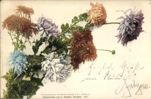 Ak Blumenstrauß, Chrysanthemen
