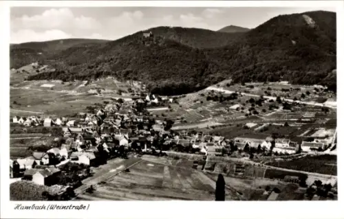 Ak Hambach Neustadt an der Weinstraße,  Ortsansicht, Weinberge, Dorf