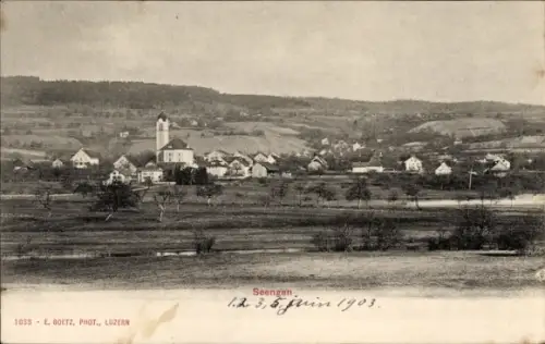 Ak Seengen Kanton Aargau, Panorama