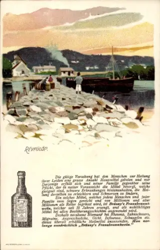 Ak Révfülöp Ungarn, Gesamtansicht, Werbung