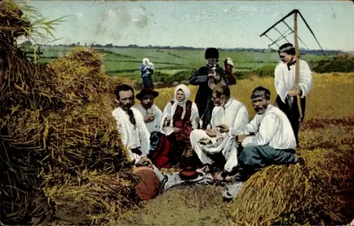 Ak Ukraine, Bauern in Ukrainischer Tracht, Gruppenbild, Feldarbeit, Heuernte