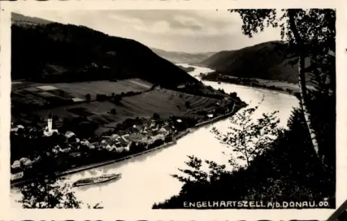Ak Engelhartszell an der Donau Oberösterreich, Panorama