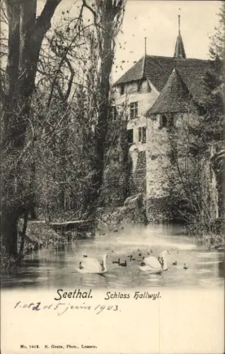 Ak Seengen Kanton Aargau, Schloss Hallwyl, Seethal