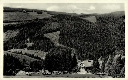 Ak Alpl Krieglach Steiermark, Gasthof Bruggraber Waldhaus