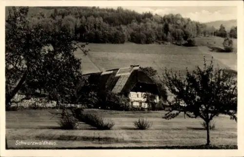 Ak Schwarzwald, Schwarzwaldhaus