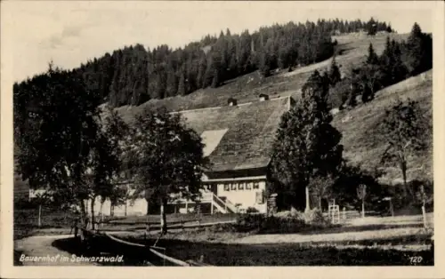 Ak Schwarzwald, Bauernhof