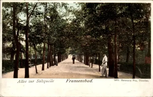 Ak Františkovy Lázně Franzensbad Region Karlsbad, Allee zur Salzquelle,  Hermann Poy (Dresden)