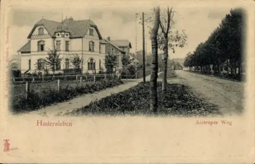 Ak Haderslev Hadersleben Dänemark, Aastruper Weg