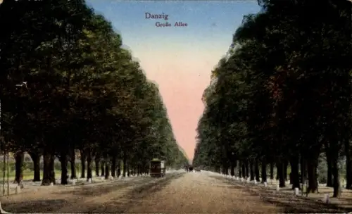 Ak Gdańsk Danzig, Große Allee