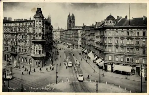 Ak Magdeburg an der Elbe, Hasselbachplatz, Straßenbahnen