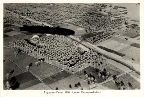 Sammelbild Zeppelin Weltfahrten Nr. 221 Ägypten-Fahrt 1931, Über Palmenwäldern, Schiffsschatten