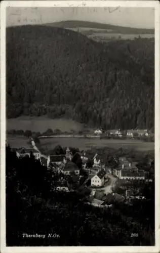 Ak Thernberg Neunkirchen in Niederösterreich, Gesamtansicht