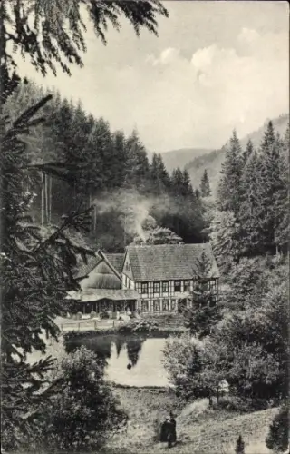 Ak Braunlage im Oberharz, Wolfsbachmühle, Wolfsbachmühle bei Hohegeiss, Oberharz, Höhe 542 m