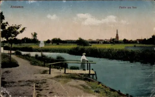 Ak Dąbie Szczecin Altdamm Stettin Pommern, Panorama, See