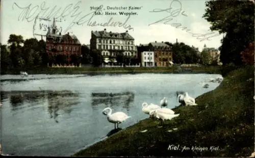 Ak Kiel Schleswig Holstein, Am Kleinen Kiel, Schwäne
