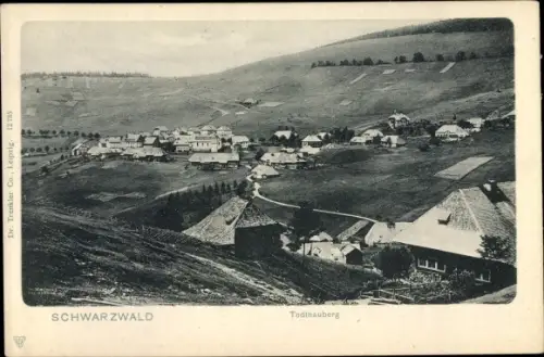 Ak Todtnauberg im Schwarzwald, Gesamtansicht