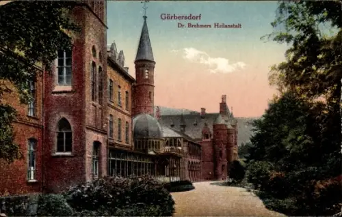 Ak Sokołowsko Görbersdorf Schlesien, Dr. Brehmers Heilanstalt