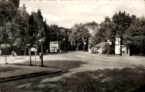 Ak Berlin Reinickendorf Konradshöhe Conradshöhe, Falkenplatz