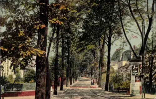 Ak Düsternbrook Kiel, Dusternbrooker Allee