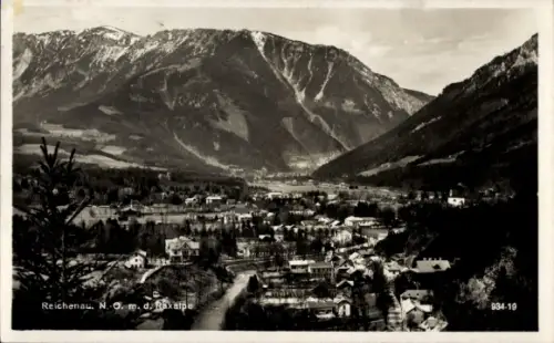 Ak Reichenau an der Rax Niederösterreich, Raxalpe, Panorama