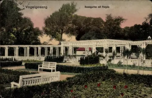 Ak Rotehorn Magdeburg an der Elbe, Parketablissement Vogelgesang, Rosengarten mit Pergola, Magdeb