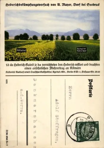 Ak Seebruck am Chiemsee Oberbayern, Werbung, Hederich-Kainit, Landwirtschaft
