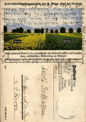 Ak Seebruck am Chiemsee Oberbayern, Werbung, Hederich-Kainit, Landwirtschaft
