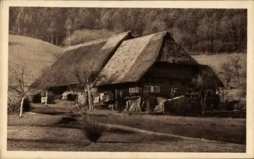 Ak Schwarzwald, Schwarzwaldhaus