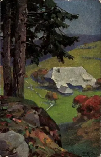 Künstler Ak Reiss, Fritz, Herbst im Schwarzwald, Schwarzwaldhaus