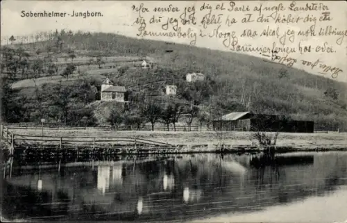 Ak Bad Sobernheim an der Nahe, Sobernheimer Jungborn