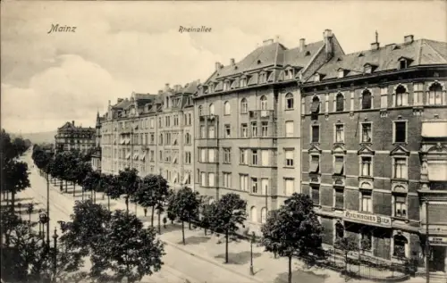 Ak Mainz am Rhein, Rheinallee